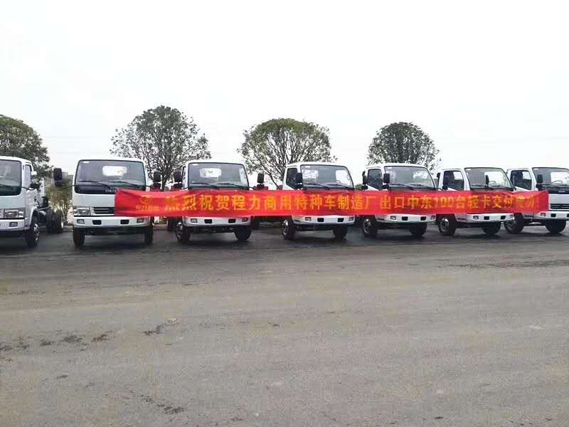 918博天堂汽车100台轻卡出口中东国家项目展示